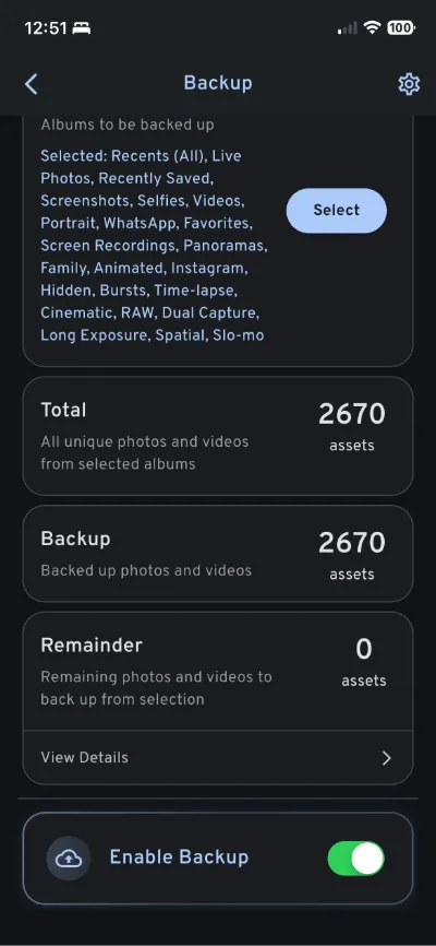 Immich Phone Backup