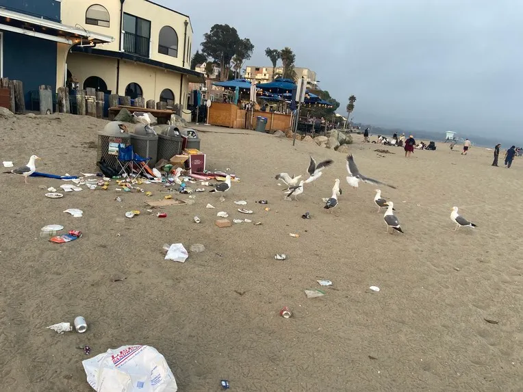 Santa Cruz Beach Cleanup