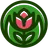 Tulip Coaching logo