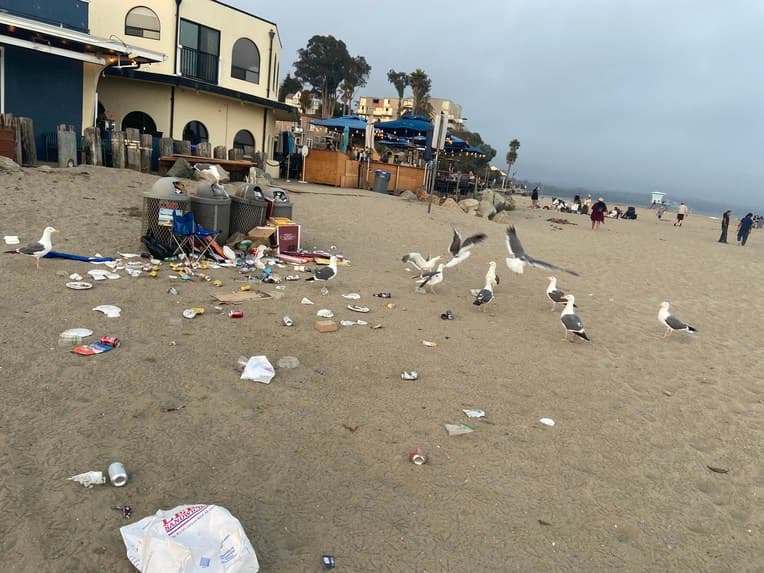 Santa Cruz Beach Cleanup